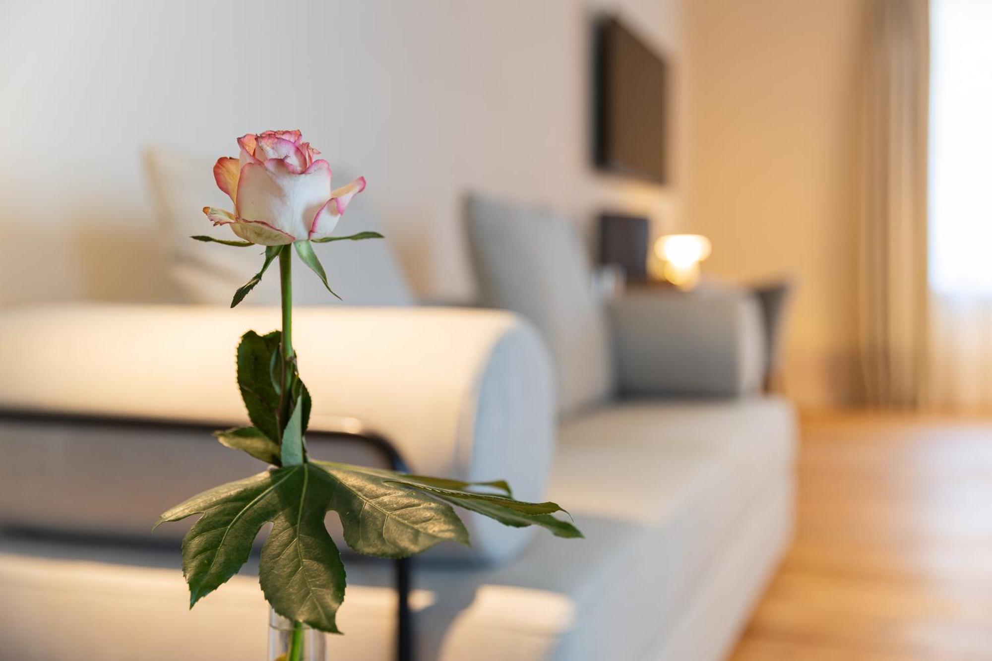 Boutique Hotel Gruener Zweig Schlettau 外观 照片